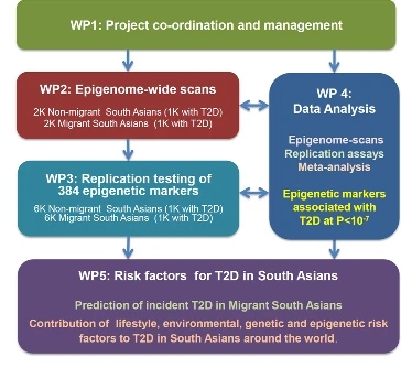 EpiMigrant Methodology and Work Package Flow Chart
